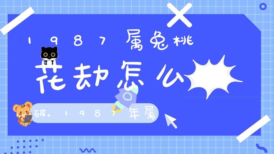 1987属兔男的婚恋轨迹