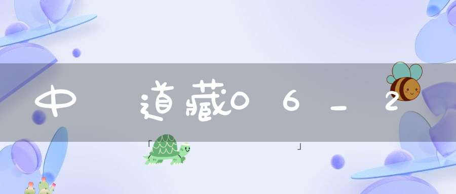 中華道藏06_2