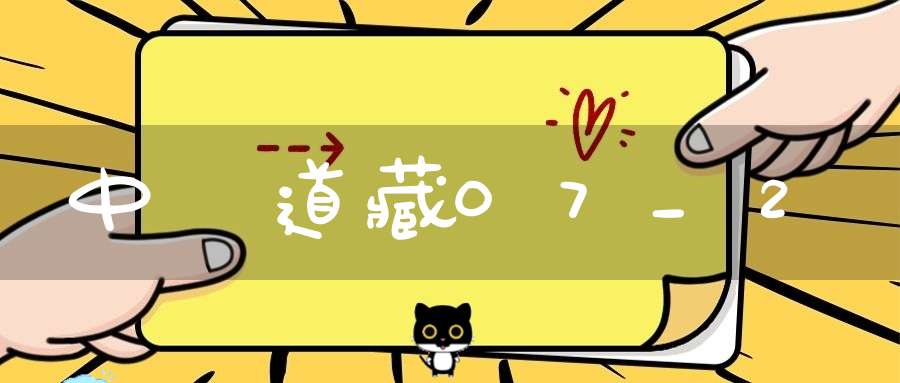 中華道藏07_2