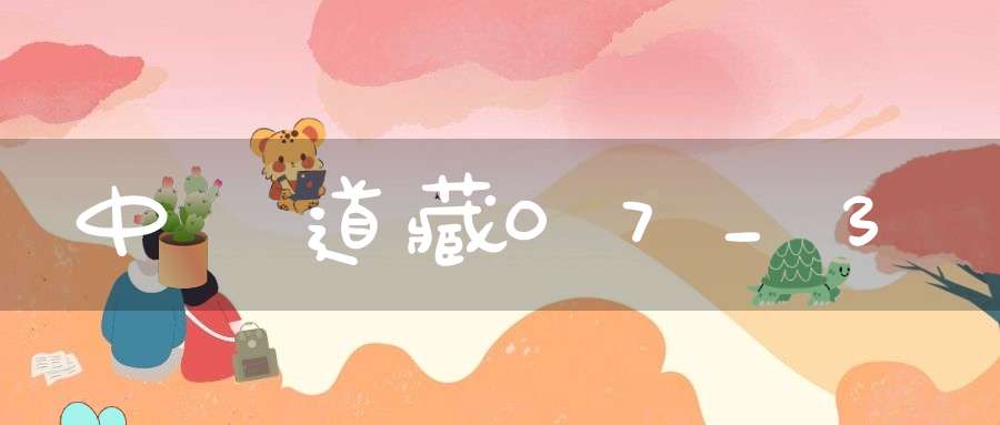 中華道藏07_3