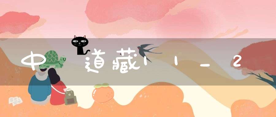 中華道藏11_2