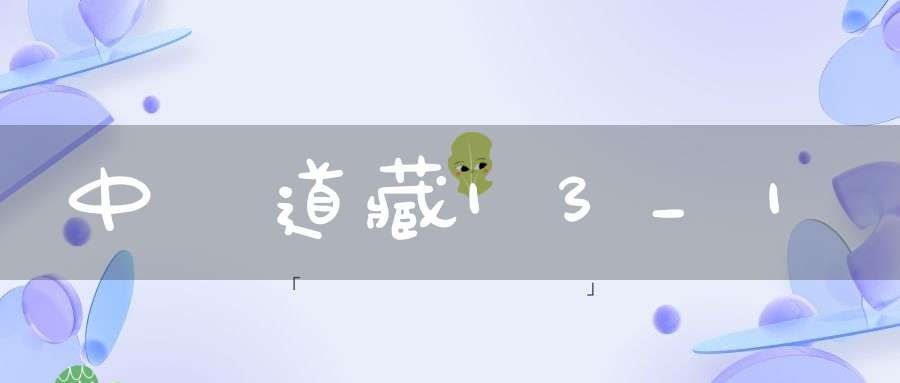 中華道藏13_1