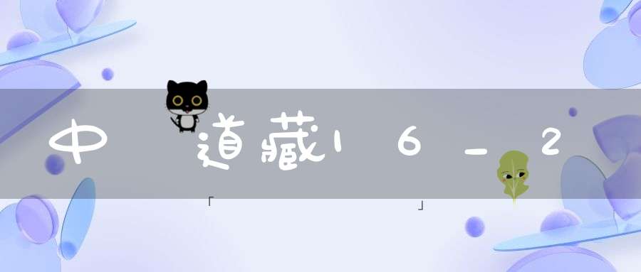 中華道藏16_2