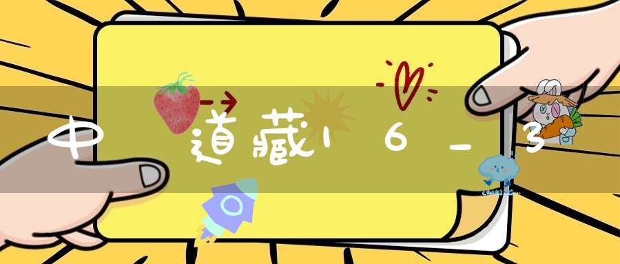 中華道藏16_3