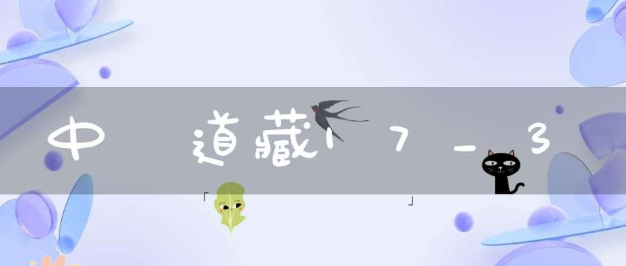 中華道藏17_3
