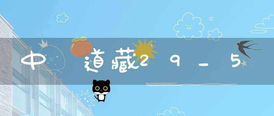 中華道藏29_5