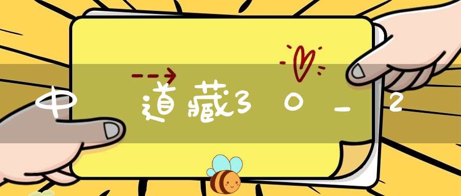 中華道藏30_2