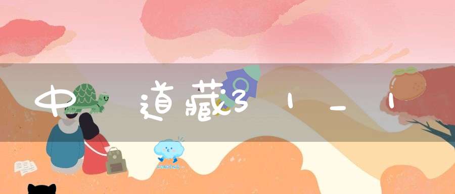 中華道藏31_1