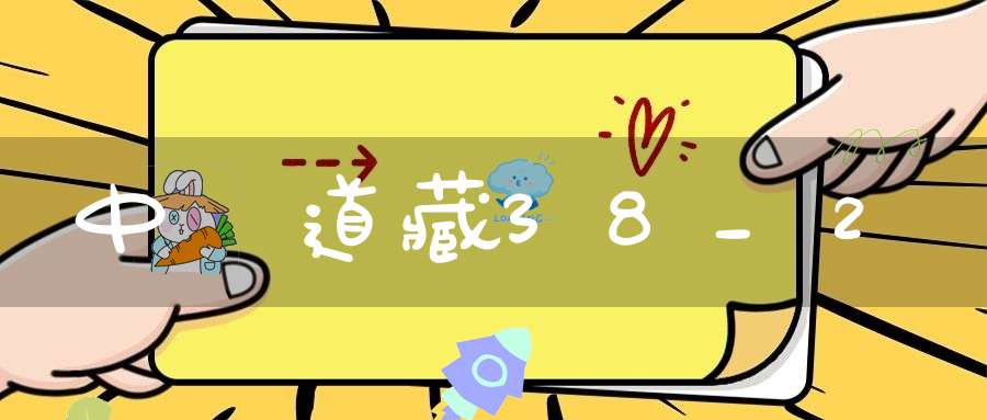 中華道藏38_2