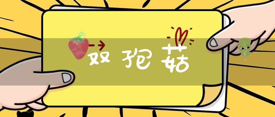 双孢菇
