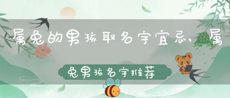 属兔的男孩取名字宜忌,属兔男孩名字推荐