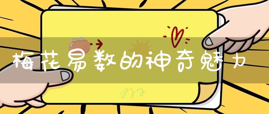 梅花易数的神奇魅力