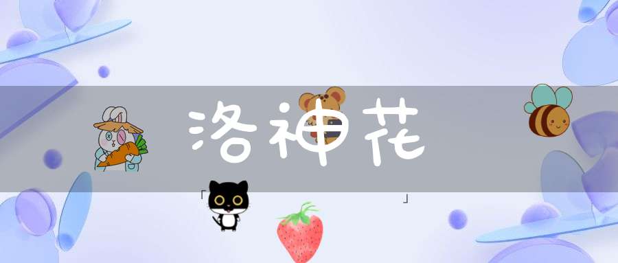 洛神花