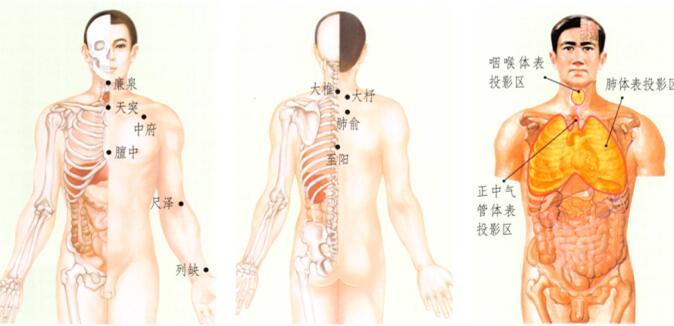 咳嗽刮痧部位