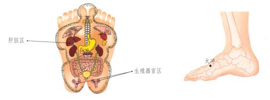 性保健刮痧