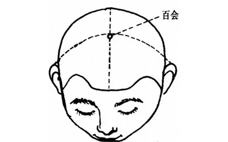 人体穴位图 百会穴