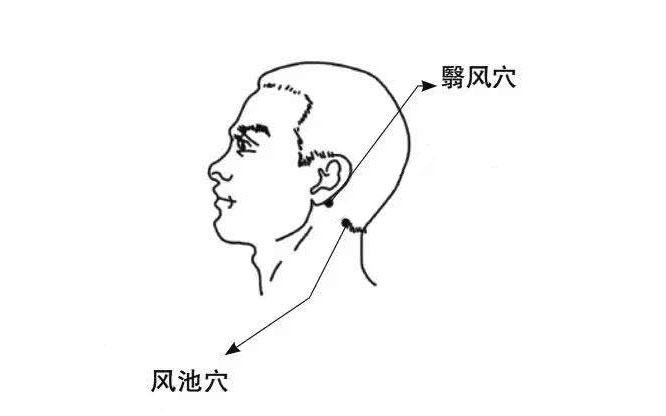 人体穴位图 风池穴 翳风穴