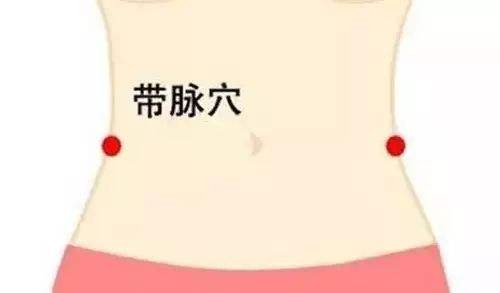 人体穴位图 带脉