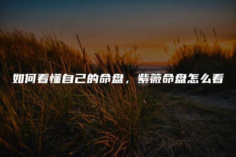 如何看懂自己的命盘，紫薇命盘怎么看