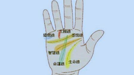 手相怎么看图_看手相图解_手相图解怎么看
