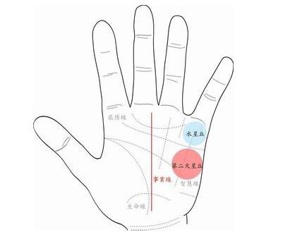手相 事业线_手相没有事业线_手相没有事业线