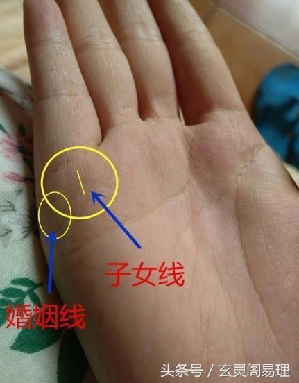手相没有事业线_手相 事业线_手相没有事业线