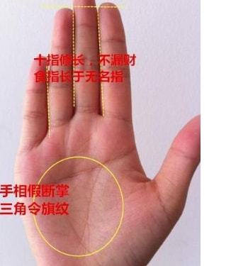断掌纹_断掌纹好不好_断掌纹上有像环形的东西好不好？