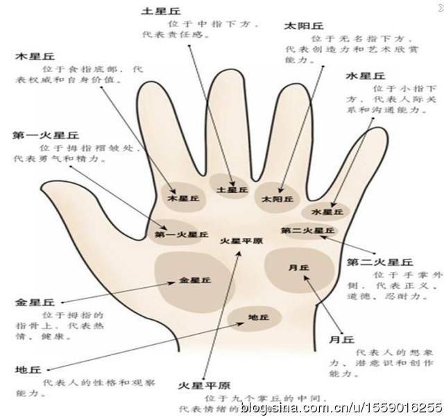 女人的面相和手相_男人手相图解 男人手相算命图_手相