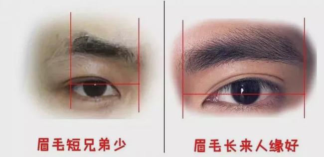 看相八字眉_看相准还是八字准_八字宫眉捧额黄