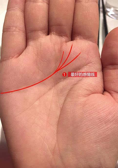 女右手相图解大全_手相图解大全女婚姻线_手相图解女