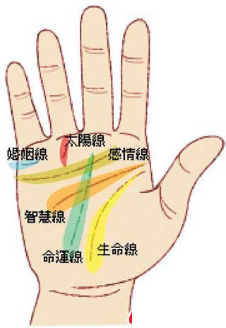 姻缘线看左手还是右手_男人手相左手右手断掌_手相是看左手还是右手