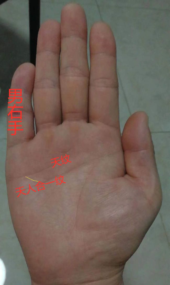 女人左手断掌纹_断掌纹的女人_男人左手断掌纹