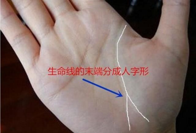 女人左手婚姻线有分叉_成功线在智慧线分叉_婚姻线分叉