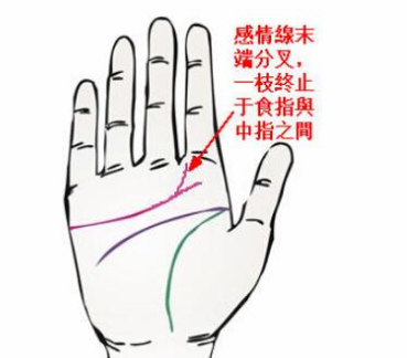 婚姻线分叉_成功线在智慧线分叉_女人左手婚姻线有分叉