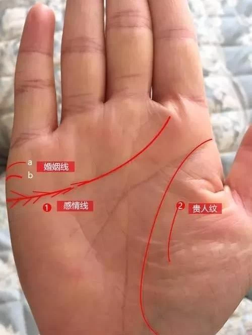女人左手婚姻线有分叉_成功线在智慧线分叉_婚姻线分叉