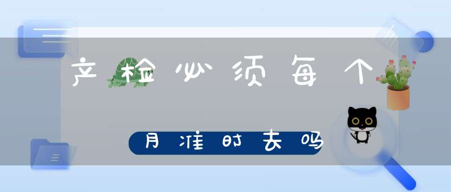产检必须每个月准时去吗