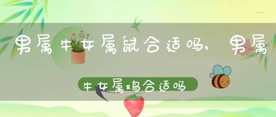 男属牛女属鼠合适吗,男属牛女属鸡合适吗