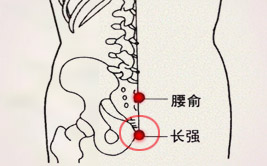 倪海厦长强穴治痔疮和倪海厦治痔疮秘方(图2)