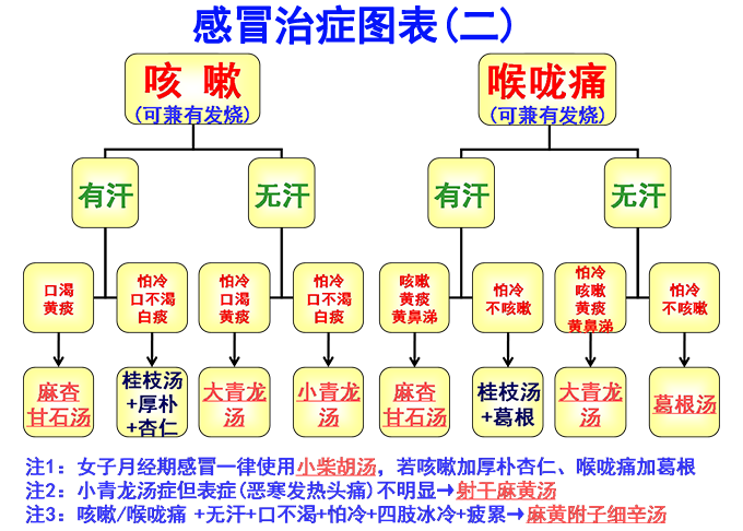 倪海厦经方治感冒简易图表(图2)