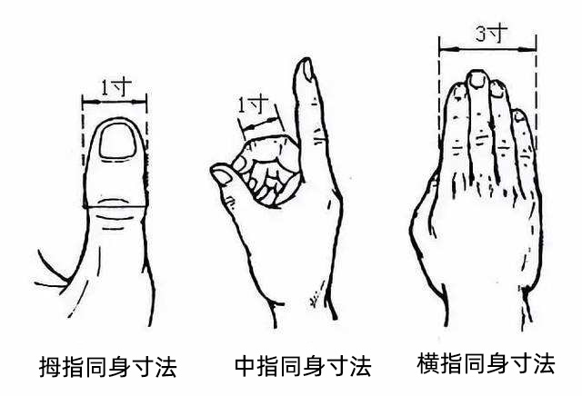 手少阴心经:通里穴